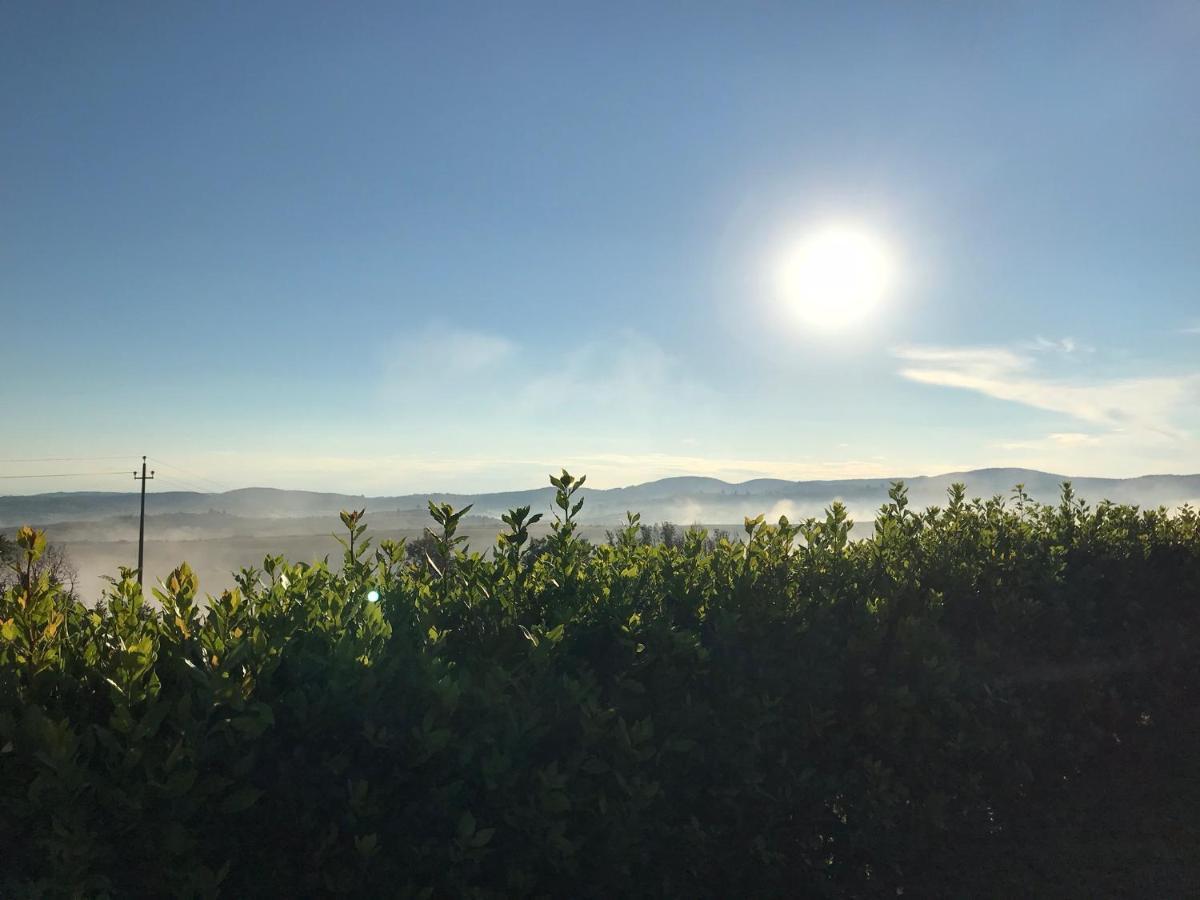 Podere Ampella Villa San Giovanni d'Asso Eksteriør billede