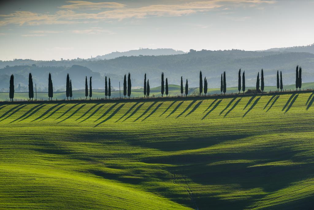 Podere Ampella Villa San Giovanni d'Asso Eksteriør billede