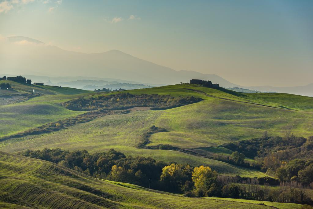 Podere Ampella Villa San Giovanni d'Asso Eksteriør billede